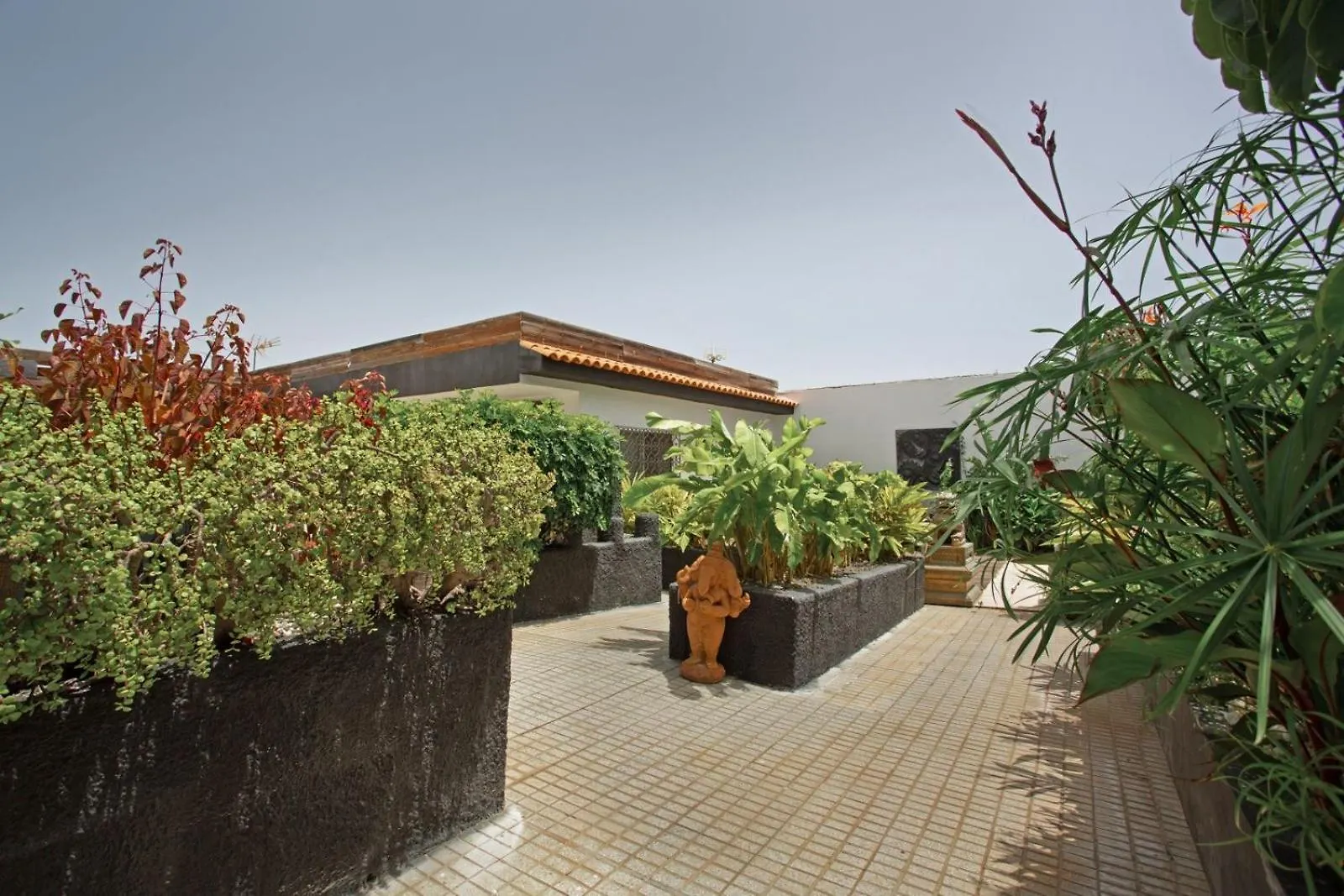 Apartment Estudio La Laguna La Laguna  Spain