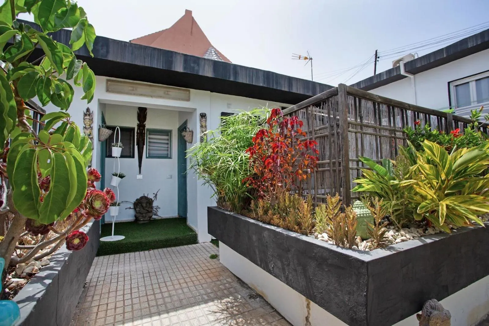 Estudio La Laguna La Laguna  La Laguna (Tenerife)